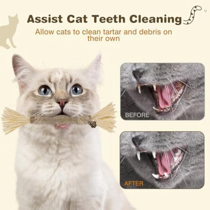Silvervine Sticks For Cats Chew Toy For Dental Care