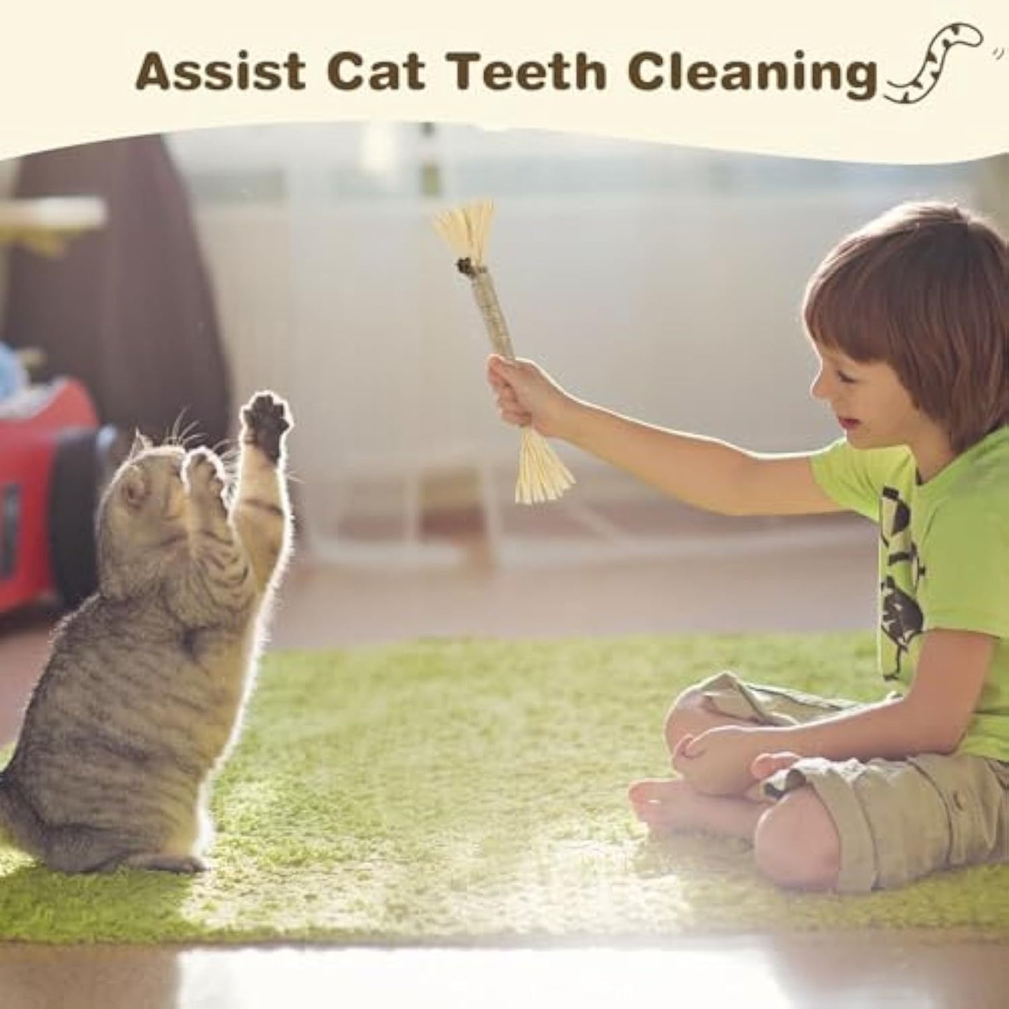 Silvervine Sticks For Cats Chew Toy For Dental Care