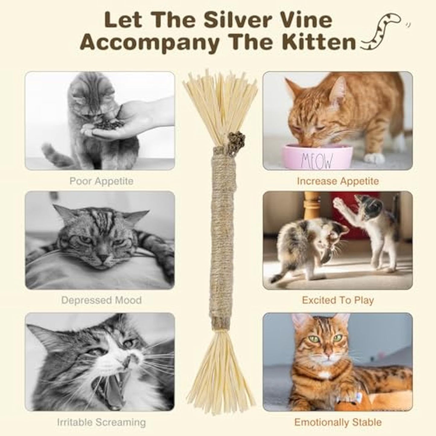 Silvervine Sticks For Cats Chew Toy For Dental Care